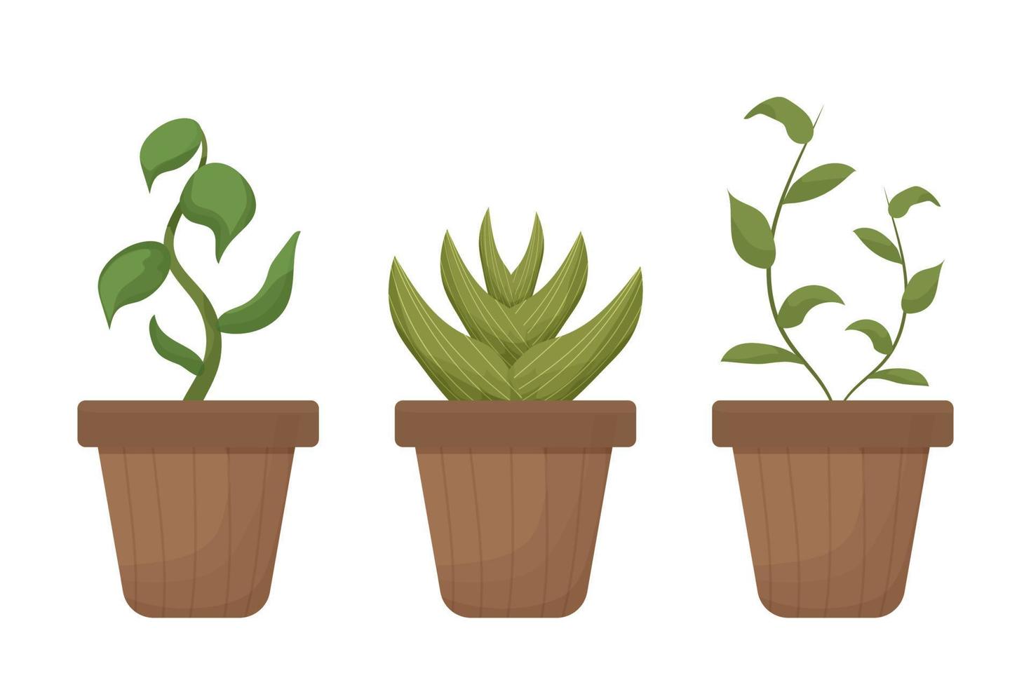 conjunto de plantas de interior en maceta de estilo escandinavo, hygge, objeto acogedor aislado en fondo blanco. colección de flores, decoración de interiores. ilustración vectorial vector