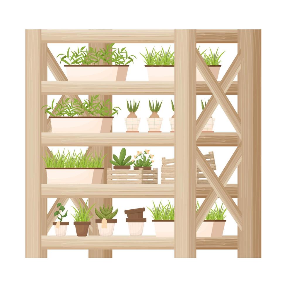 estanterías de madera, vitrina con plantas, macetas en estilo de dibujos animados, texturizadas y detalladas aisladas en fondo blanco. muebles de interior, librería elegante, equipo de tienda de flores. vector