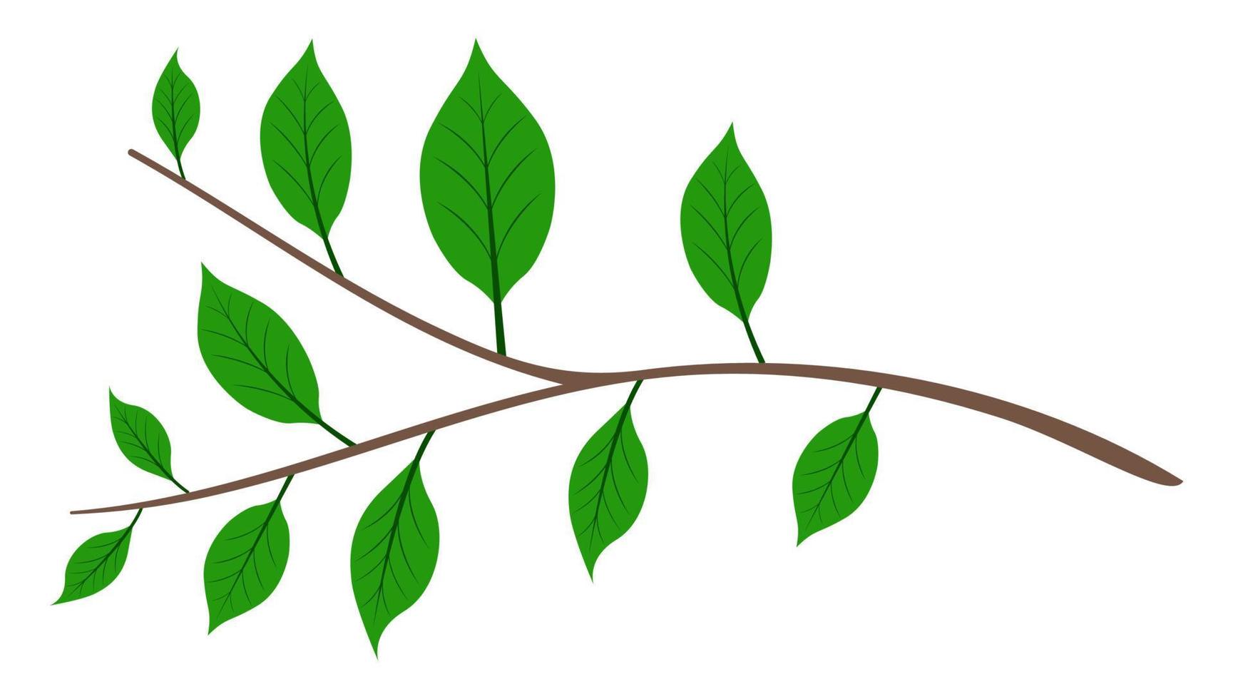 Tree branch with green leaves cartoon isolated white background vector