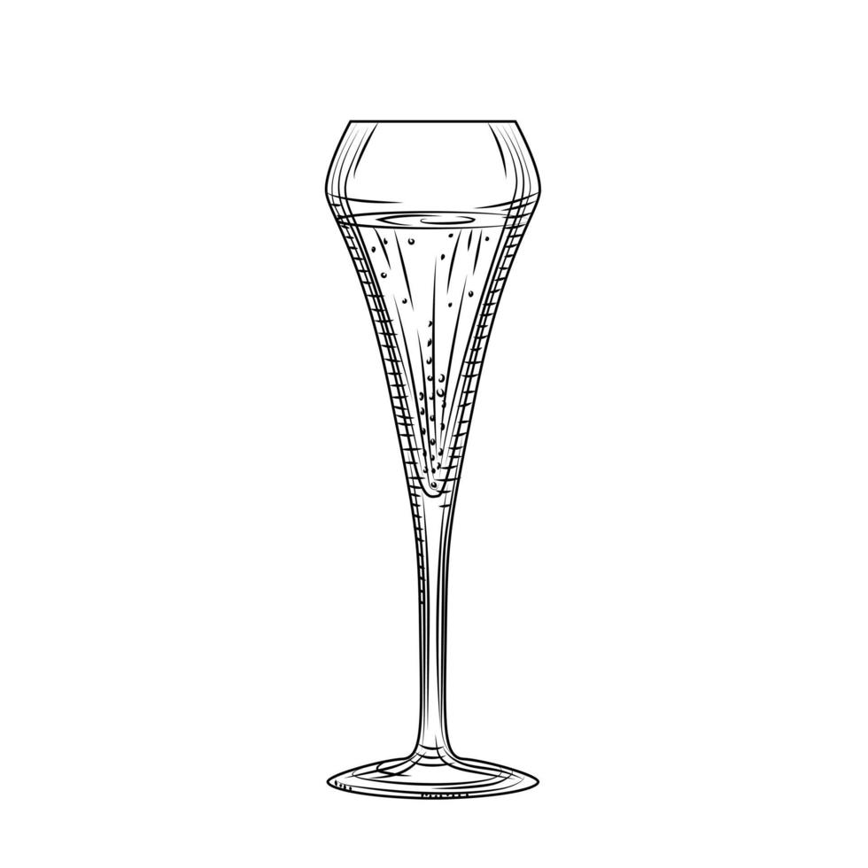 Sparkling wine glass. Hand drawn full champagne glass sketch. vector