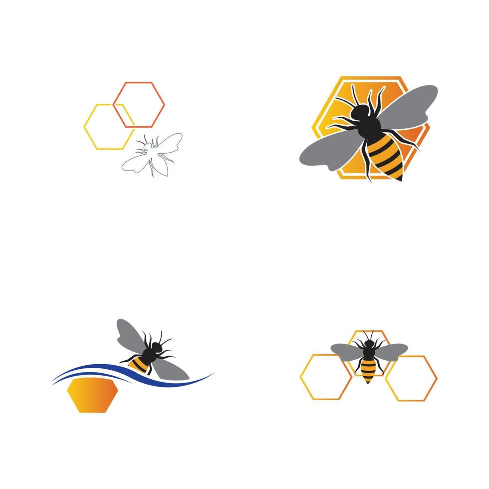 abeja y panal vector