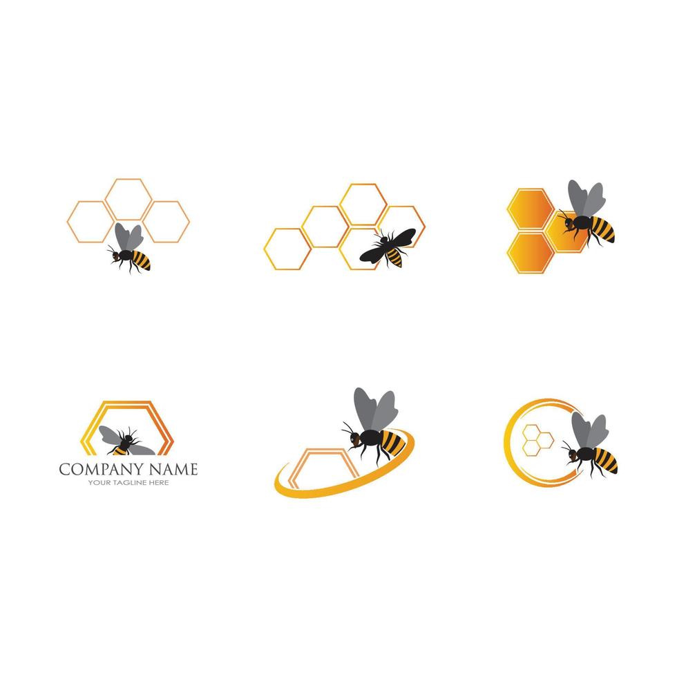 abeja y panal vector