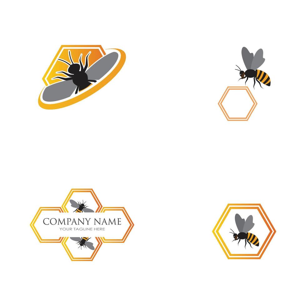 abeja y panal vector