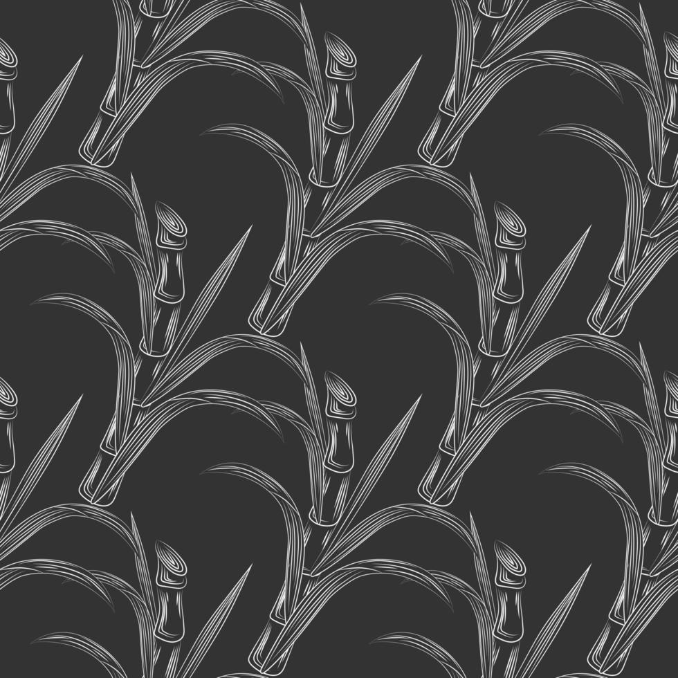 Sugar cane stalks with leaves seamless pattern. Sugar stalk cane vector