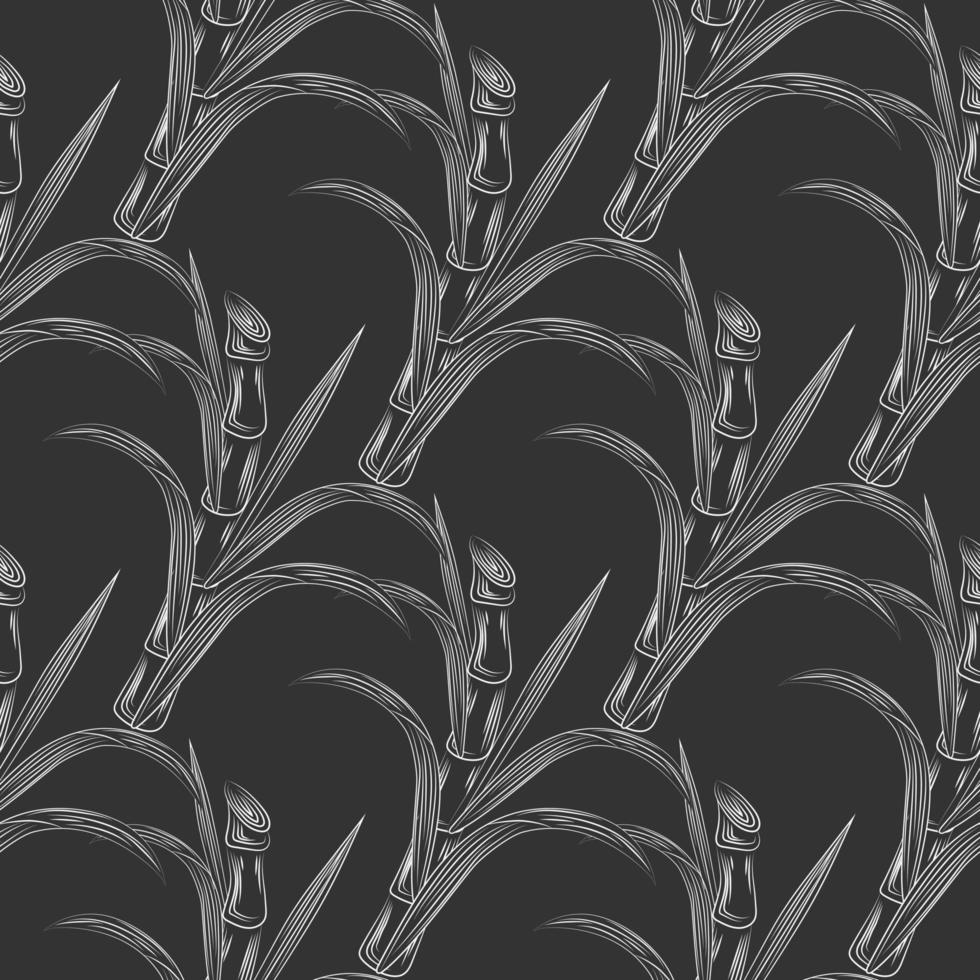 Sugar cane stalks with leaves seamless pattern. Sugar stalk cane vector