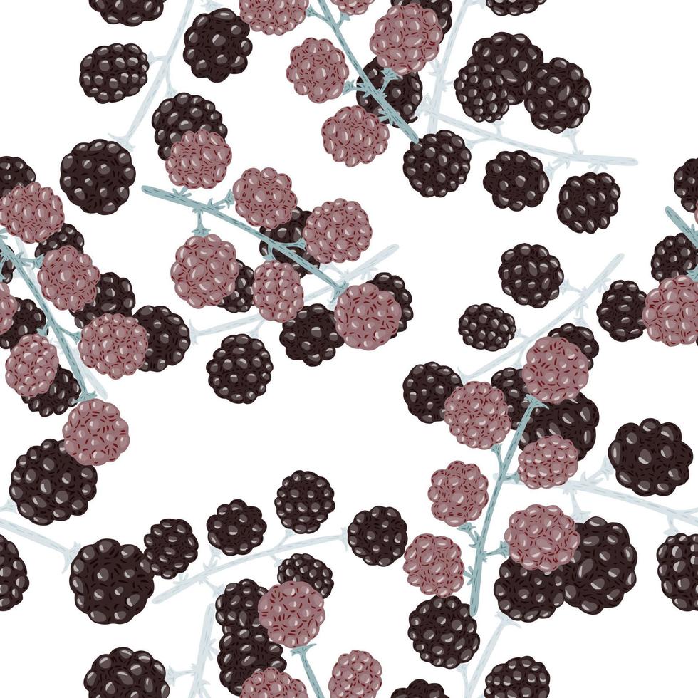 Seamless isolated pattern with doodle blackberries. White background. vector