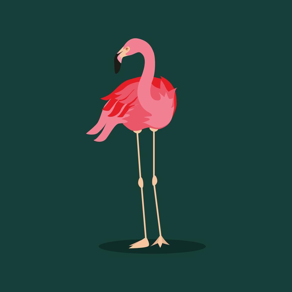 pink flamingo stand for Nordic isolated background vector