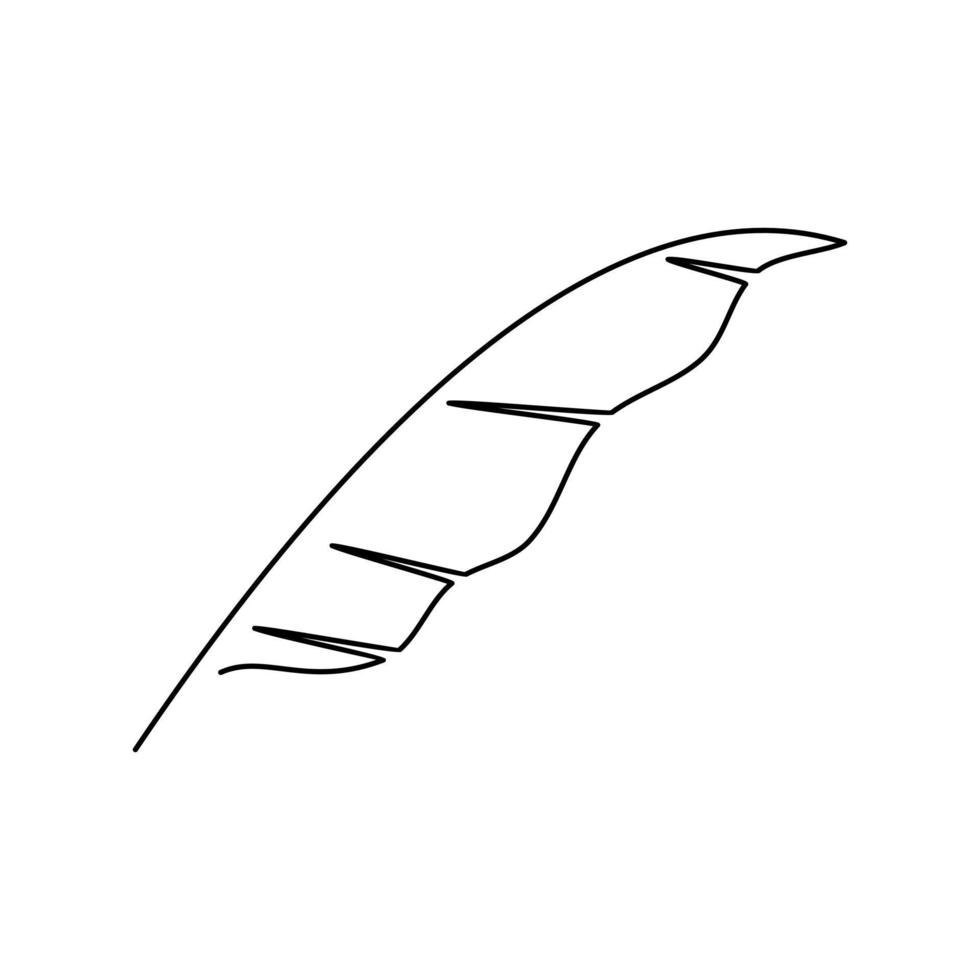 Draw banana leaf outline. Draw banana leaf outline. Templates for your designs. Vector illustration