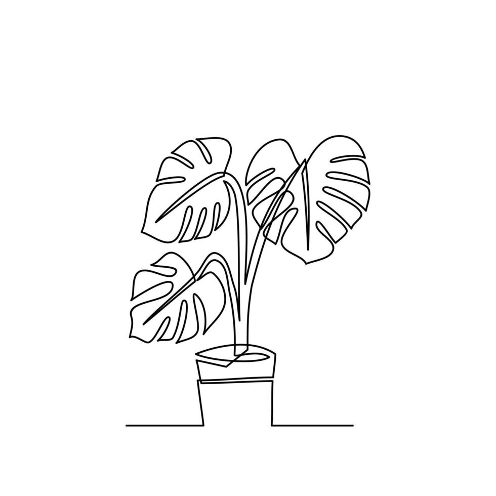 dibujo en línea de hojas de monstera tropical en una olla linda. dibujo en línea de hojas de monstera tropical en una olla linda. plantillas para sus diseños. ilustración vectorial vector