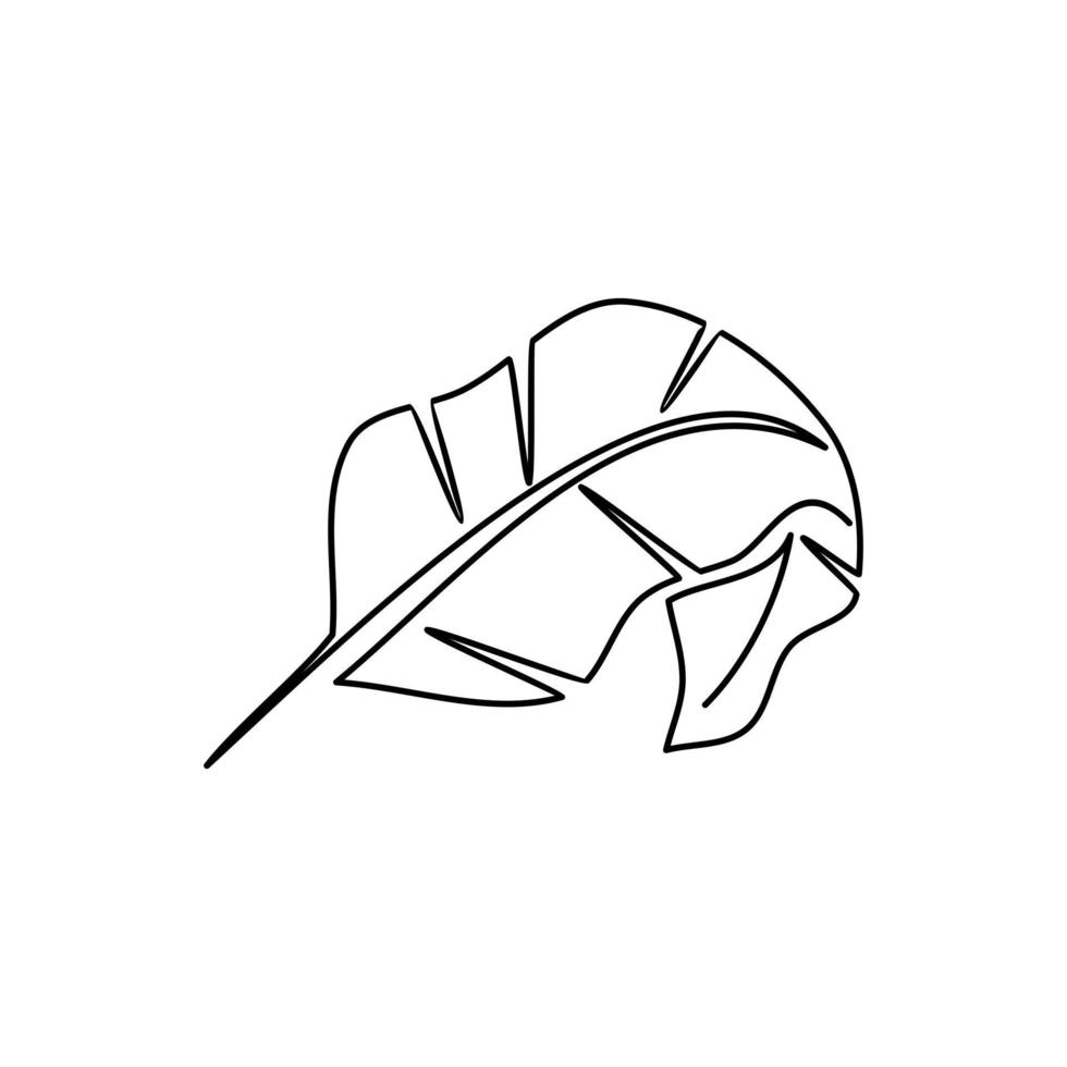 Draw banana leaf outline. Draw banana leaf outline. Templates for your designs. Vector illustration