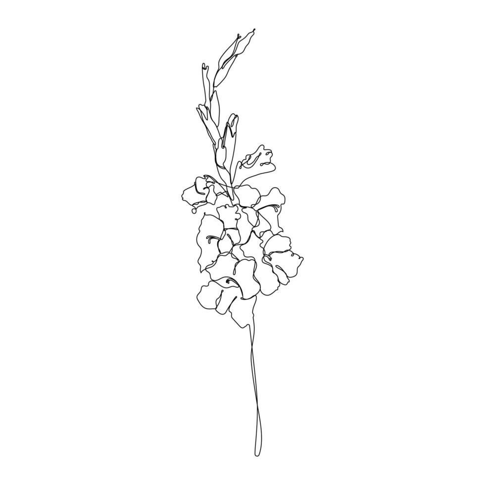 Continuous one line gladiolus flower. Moden style flower for logo, icon emblem or web banner. Hand drawn minimalism style vector. vector
