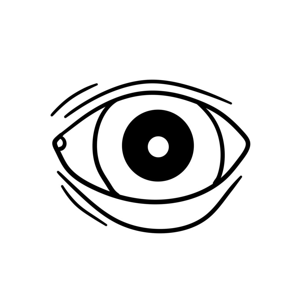 ojo. órgano humano de la visión. ver y mirar. párpado y globo ocular. vector