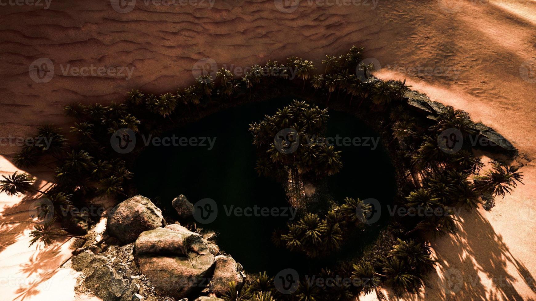 top down aerial view of oasis in desert photo