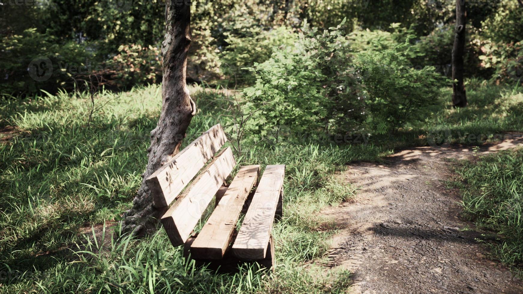 Seating area on the Valley walking trail photo