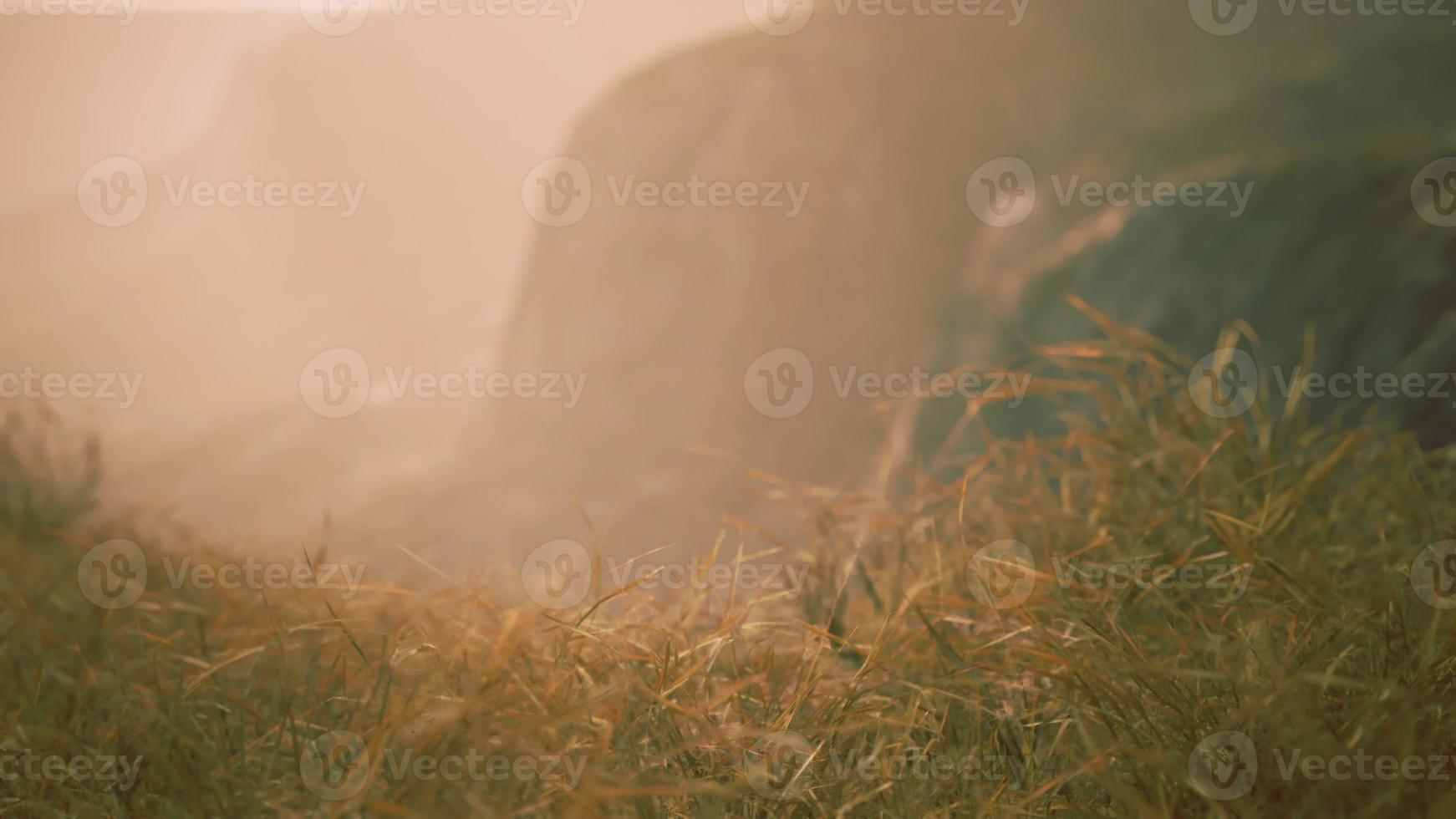 golden rocks and grass in mountains photo