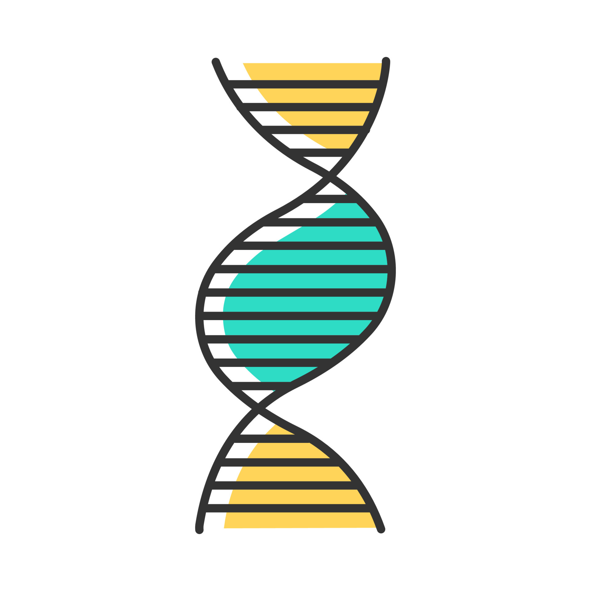 Right-handed DNA helix color icon. B-DNA. Deoxyribonucleic, nucleic acid  structure. Spiral strand. Chromosome. Molecular biology. Genetic code.  Genome. Genetics. Medicine. Isolated vector illustration 5647681 Vector Art  at Vecteezy
