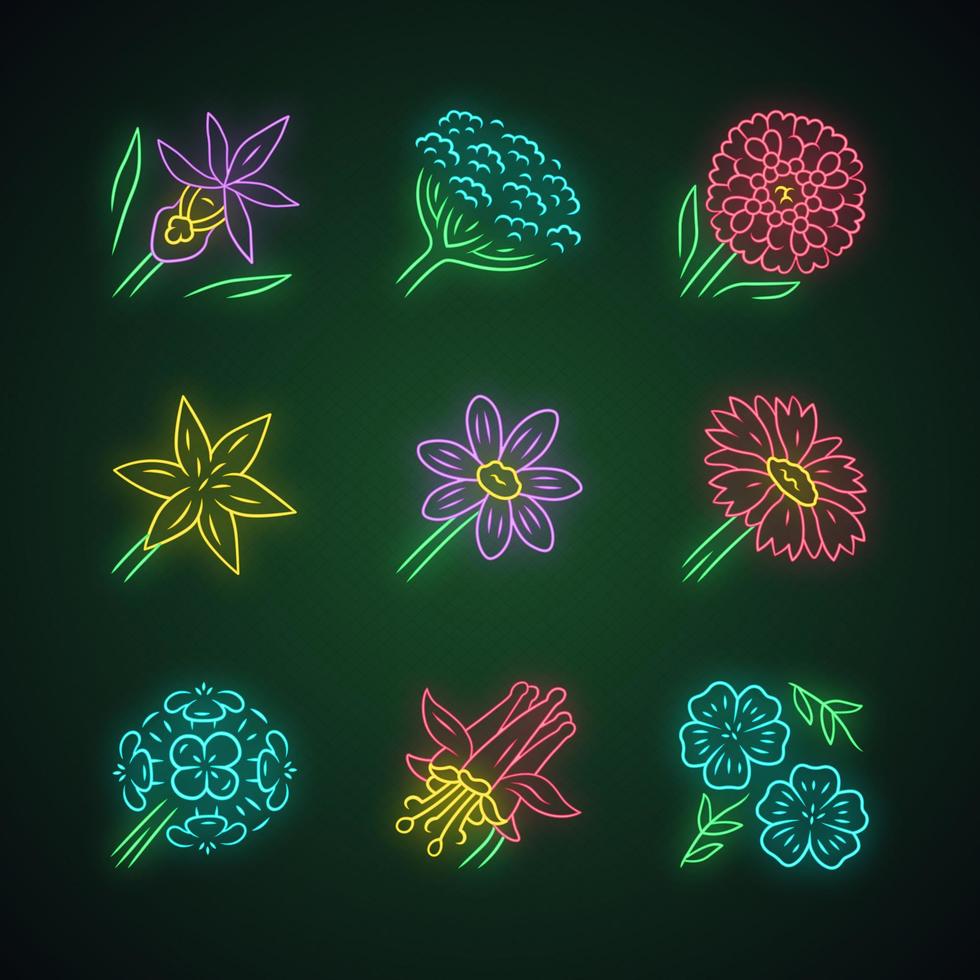 Wild flowers neon light icons set. Orchid, cow parsnip, candytuft, star lily, coreopsis, franciscan wallflower, crimson columbine, blue flax, blanket flower. Glowing vector isolated illustrations