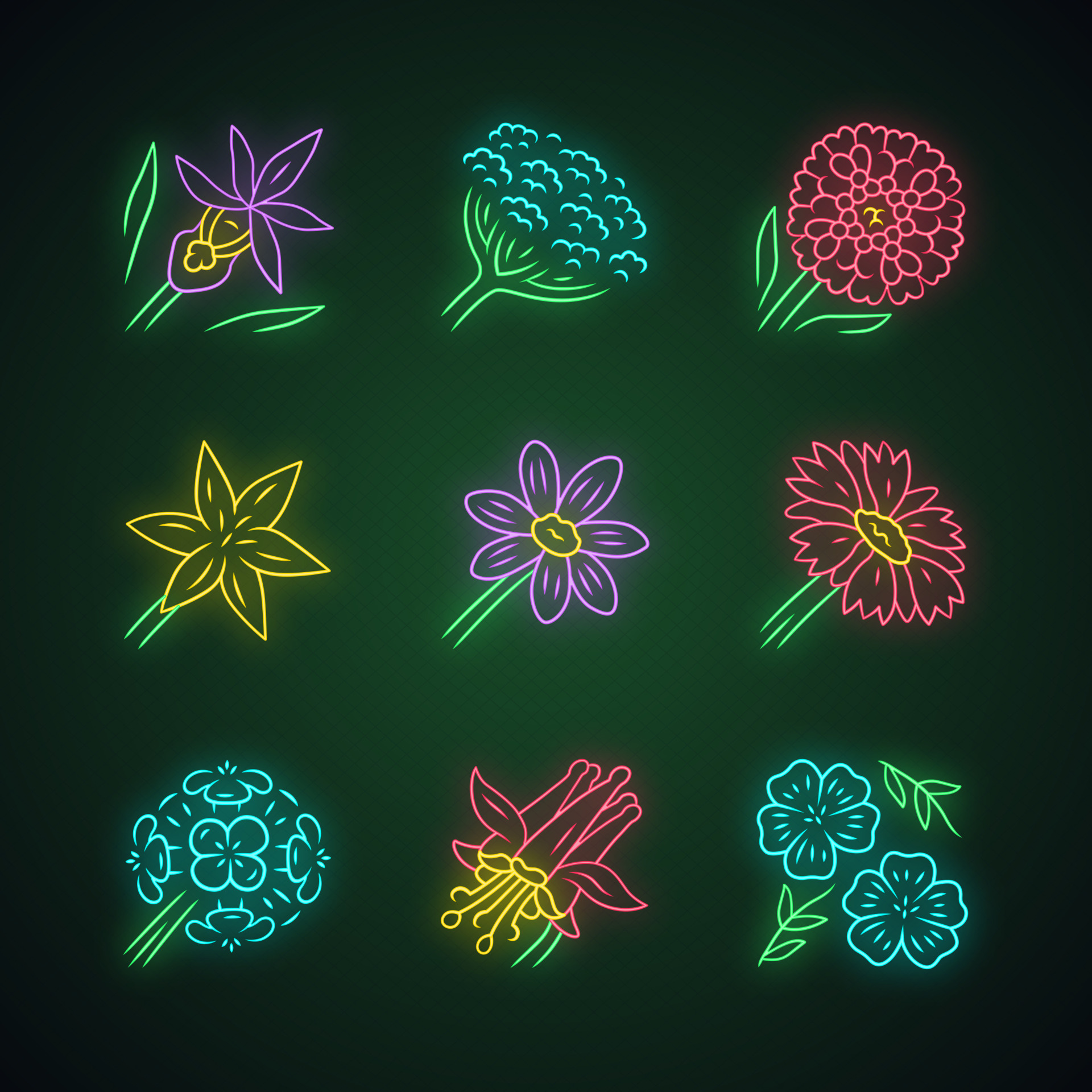 Wild flowers neon light icons set. Orchid, cow parsnip, candytuft, star  lily, coreopsis, franciscan wallflower, crimson columbine, blue flax,  blanket flower. Glowing vector isolated illustrations 5647725 Vector Art at  Vecteezy