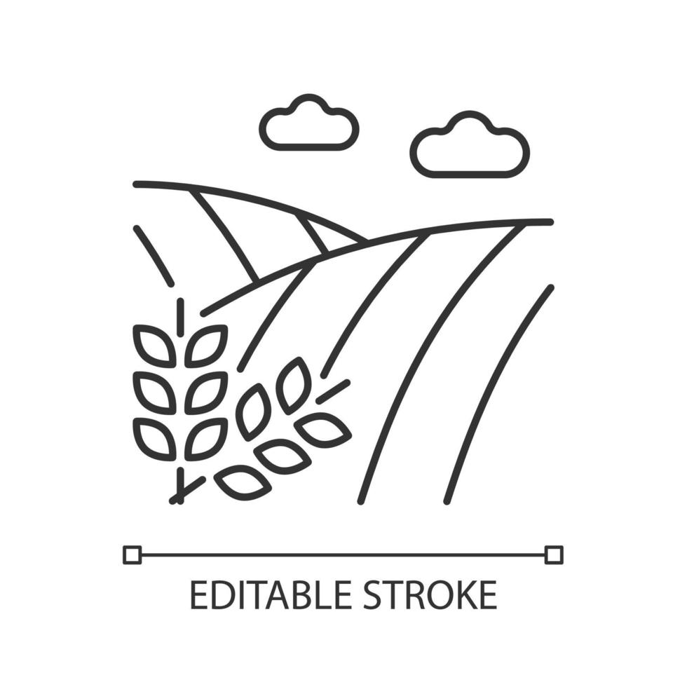 Cropland linear icon. Crops production and harvest. Farming and arable land. Agricultural area. Thin line customizable illustration. Contour symbol. Vector isolated outline drawing. Editable stroke
