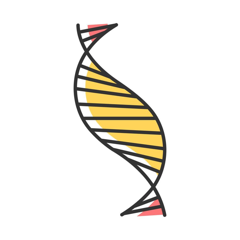 DNA spiral strand color icon. Deoxyribonucleic, nucleic acid helix stripes. Chromosome. Molecular biology. Genetic code. Genome. Genetics. Medicine. Isolated vector illustration