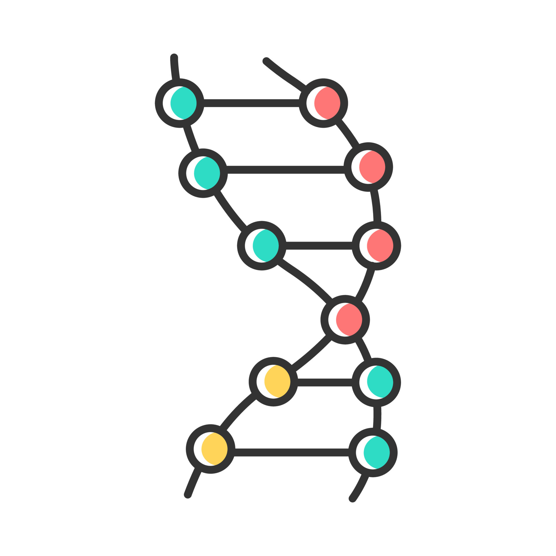 DNA helix color icon. ZDNA. Connected dots, lines. Deoxyribonucleic