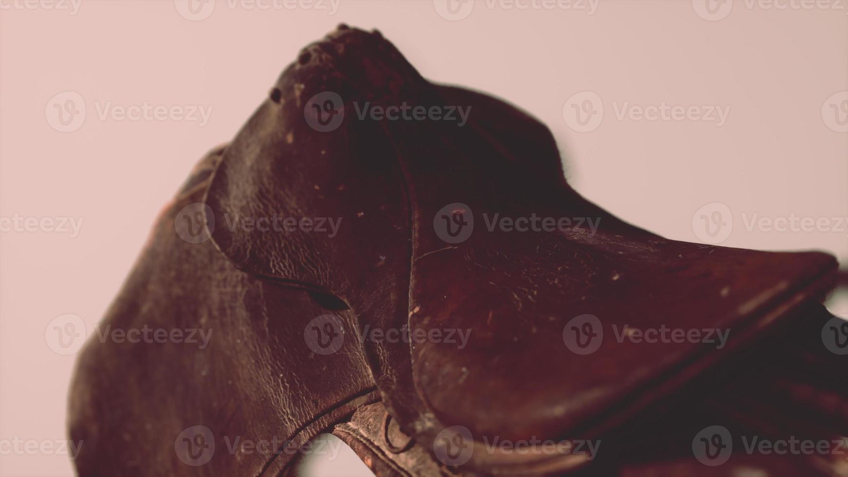 old used vintage leather dressage horse saddle photo