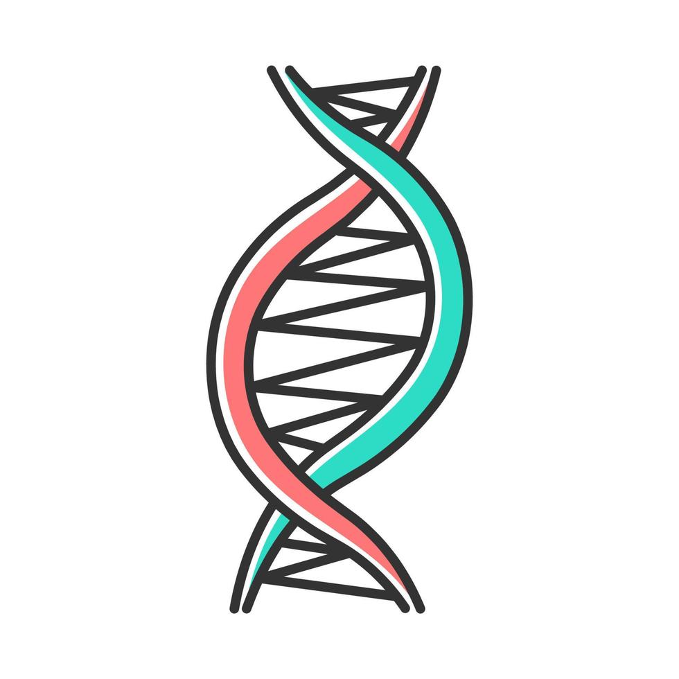 Left-handed DNA helix color icon. Z-DNA. Deoxyribonucleic, nucleic acid structure. Spiral strands. Chromosome. Molecular biology. Genetic code. Genome. Genetics. Isolated vector illustration