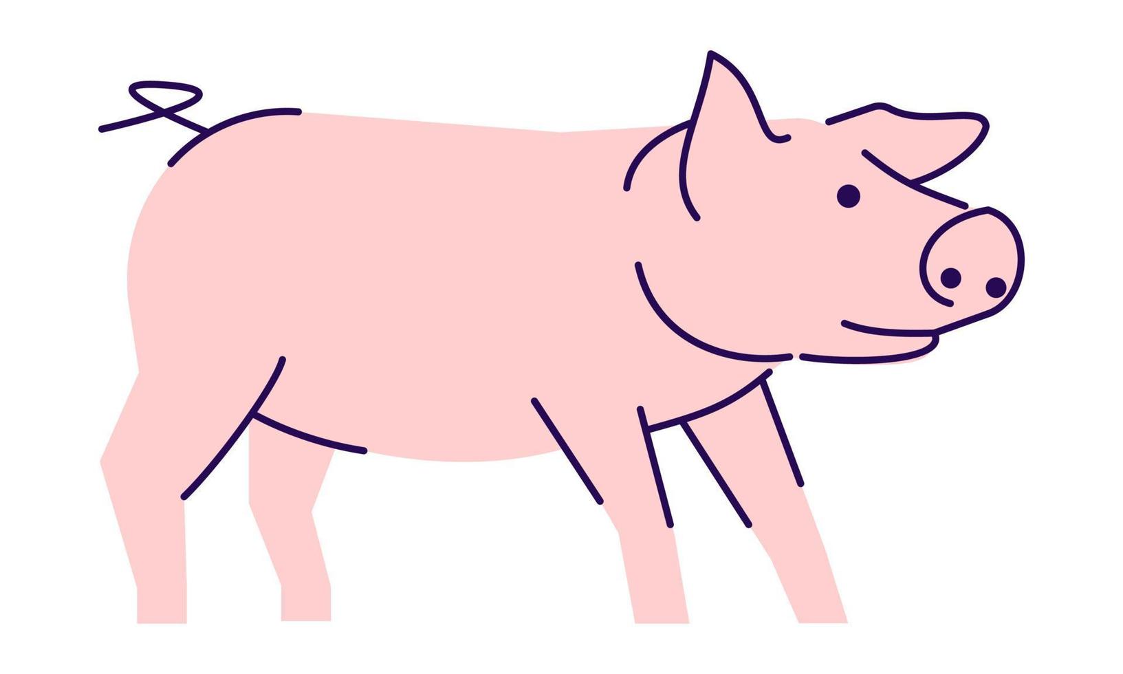 Ilustración de vector plano de vista lateral de cerdo rosa lindo. ganadería, elemento de diseño de cría de animales domésticos con contorno. logotipo de producción de carne de cerdo. lechón de dibujos animados, cerdo aislado en blanco