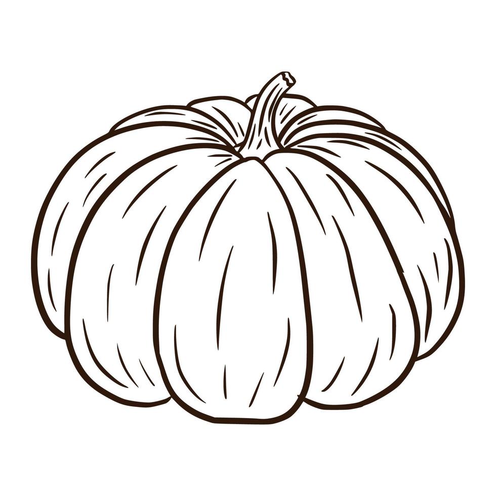 Line Art Fairytale Squash Illustration. Autumn gourd Icon. Ripe pumpkin sketch. Cartoon Style. Element for autumn decorative design, halloween invitation, harvest, sticker, print, logo, menu, recipe vector
