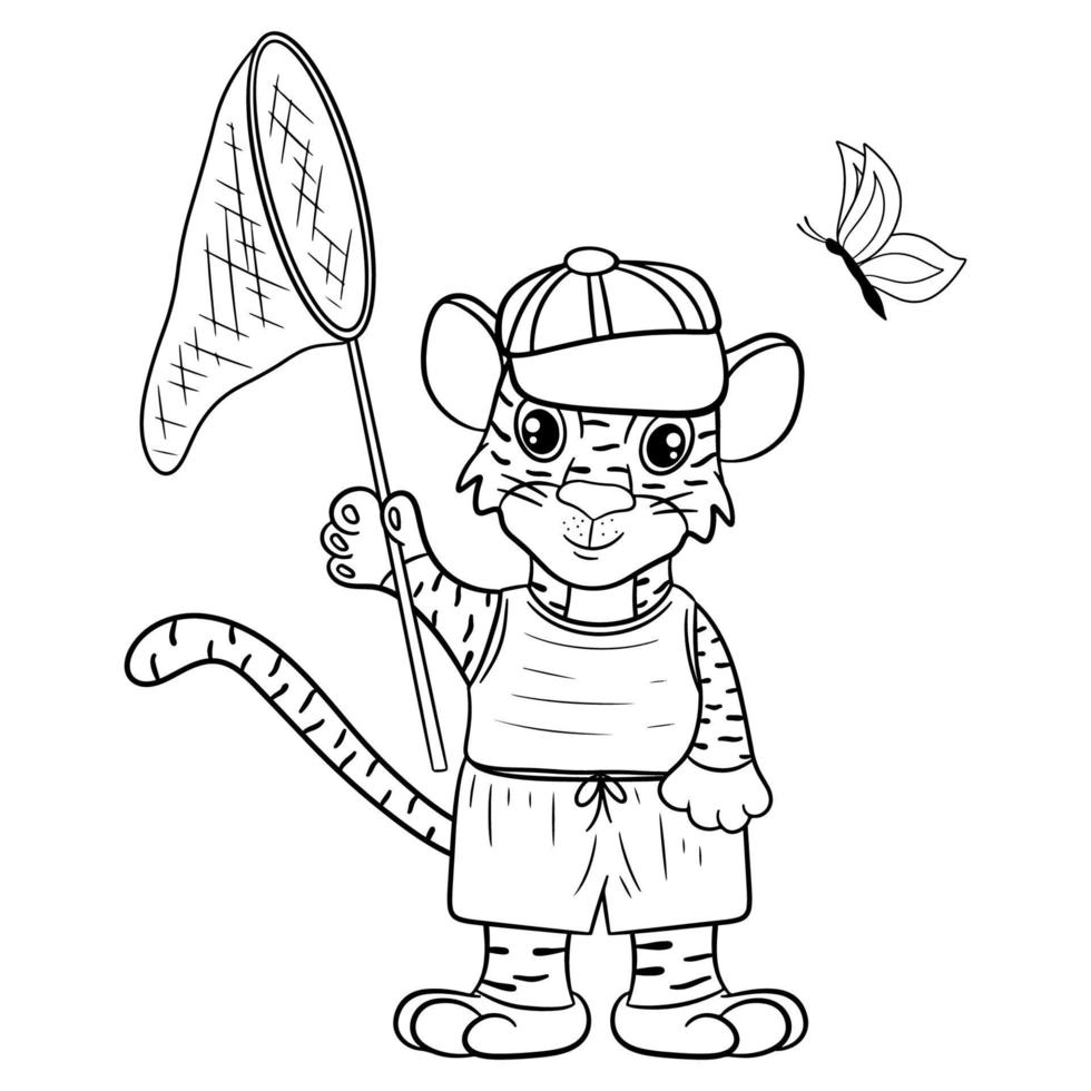 Tiger in cap with butterfly net. The symbol of the new year according to the Chinese or Eastern calendar. Outline for coloring. Vector editable illustration, cartoon style
