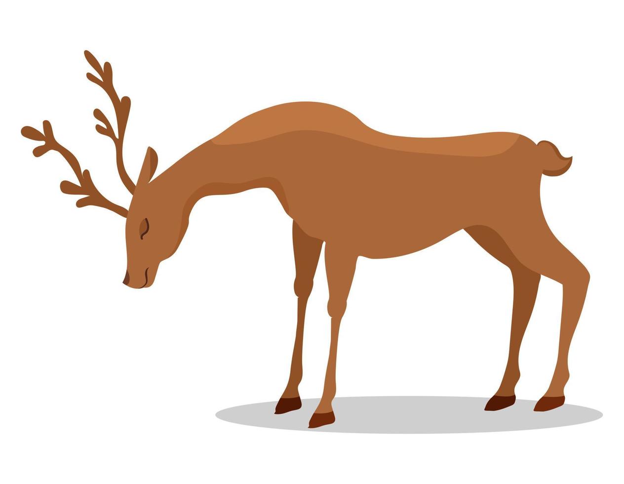 Deer vector illustration isolated on white background.