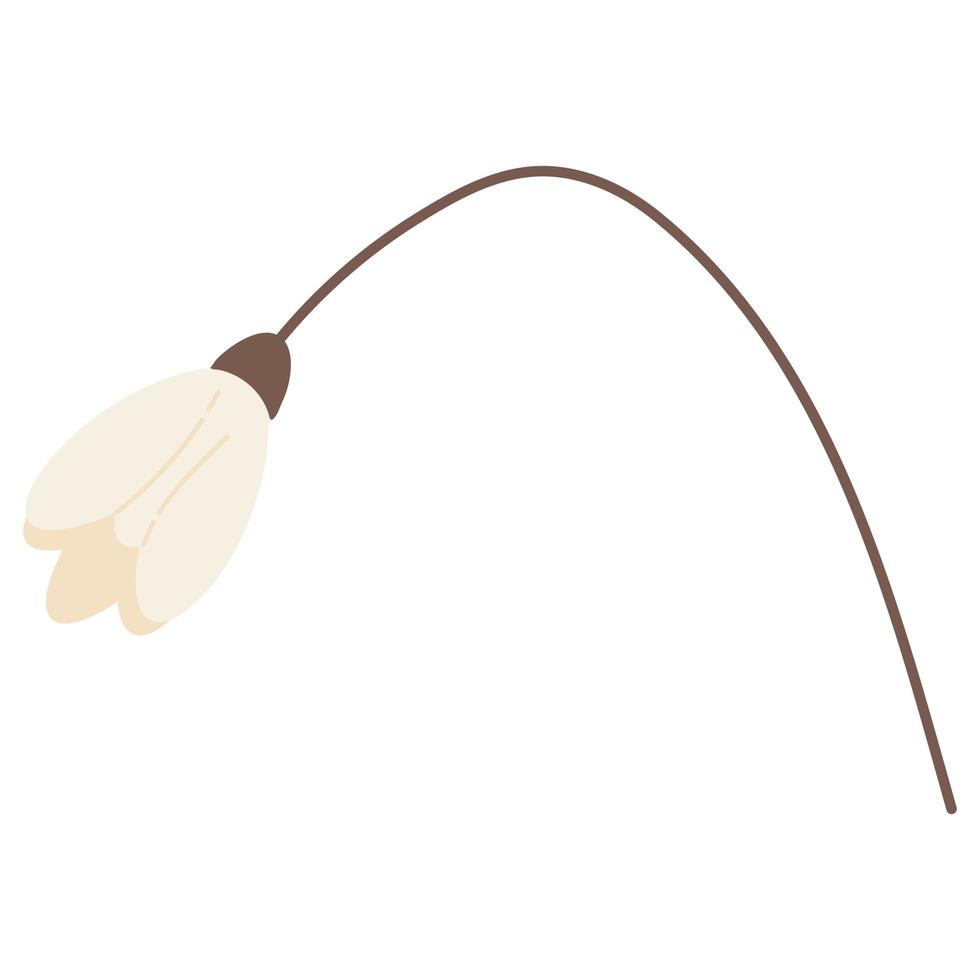 Spring flower isolated on white background. vector