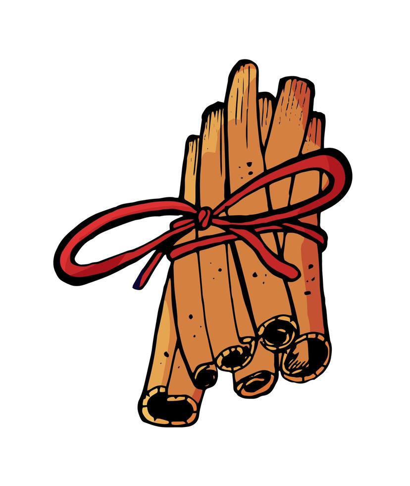 Hand drawn illustration of cinnamon sticks tied with rope isolated on white background vector