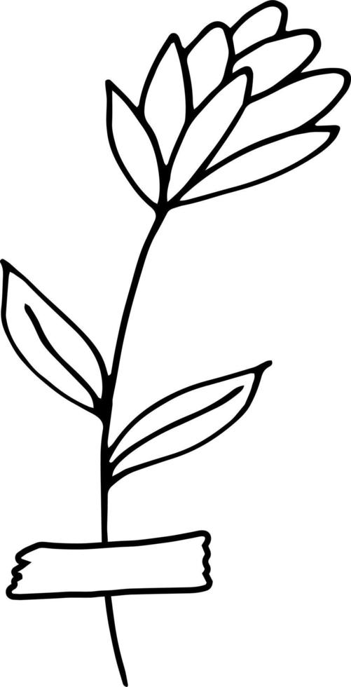 abstract flower glued with tape icon. hand drawn doodle. , scandinavian, nordic, minimalism, monochrome. plant, herbarium, scrapbooking. vector