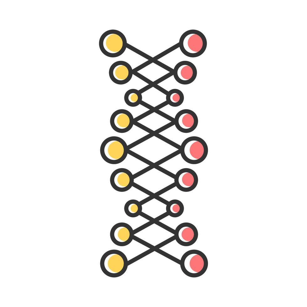 DNA double helix color icon. Connected dots, lines. Deoxyribonucleic, nucleic acid structure. Spiral strands. Chromosome. Molecular biology. Genetic code. Genetics. Isolated vector illustration