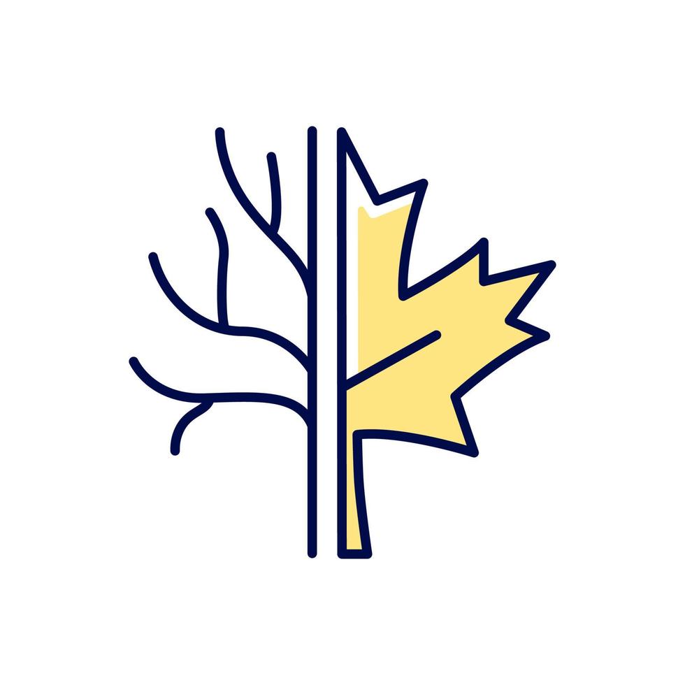 Maple tree RGB color icon. Official canadian arboreal emblem. Species of trees and bushes growing in Canada. Maple leaflet symbol. Isolated vector illustration. Simple filled line drawing