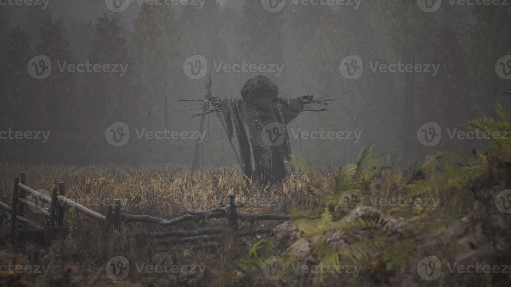 terrible scarecrow in dark cloak and dirty hat stands alone in autumn field photo