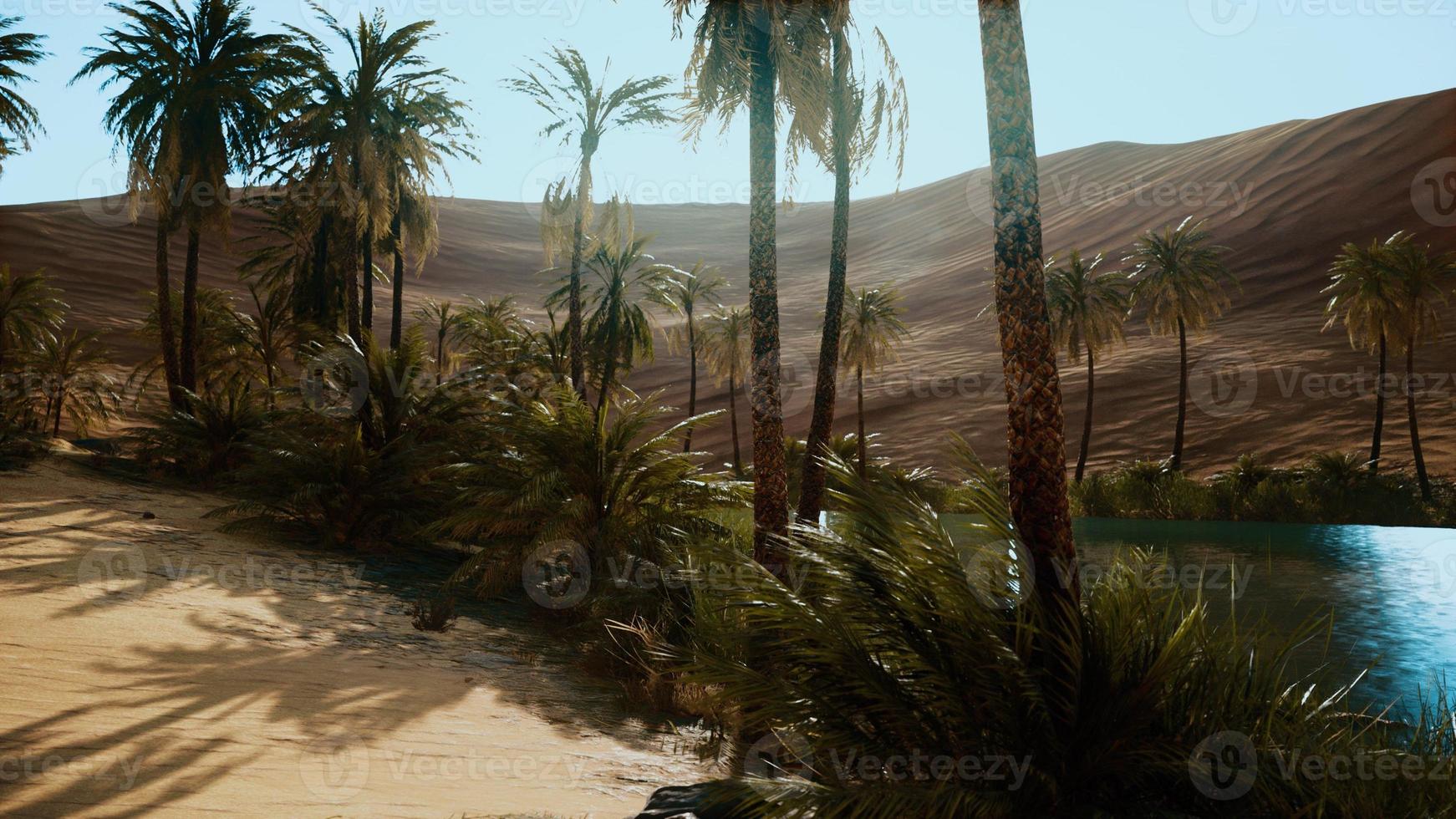 oasis with palm trees in desert photo