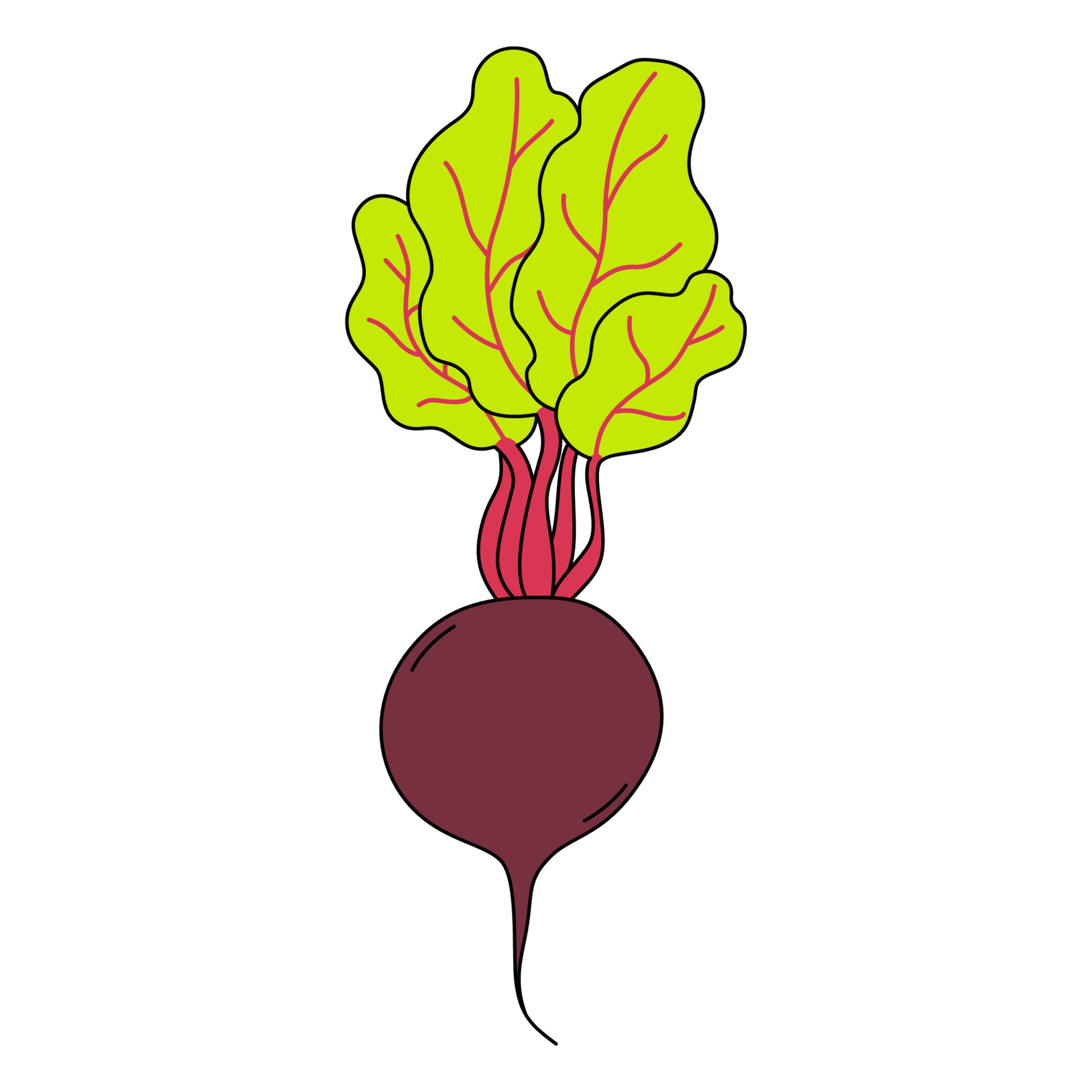 Cartoon beetroot with beet greens. Symbol of property nutrition. Vector  illustration of vegetable isolated on white background 5656674 Vector Art  at Vecteezy
