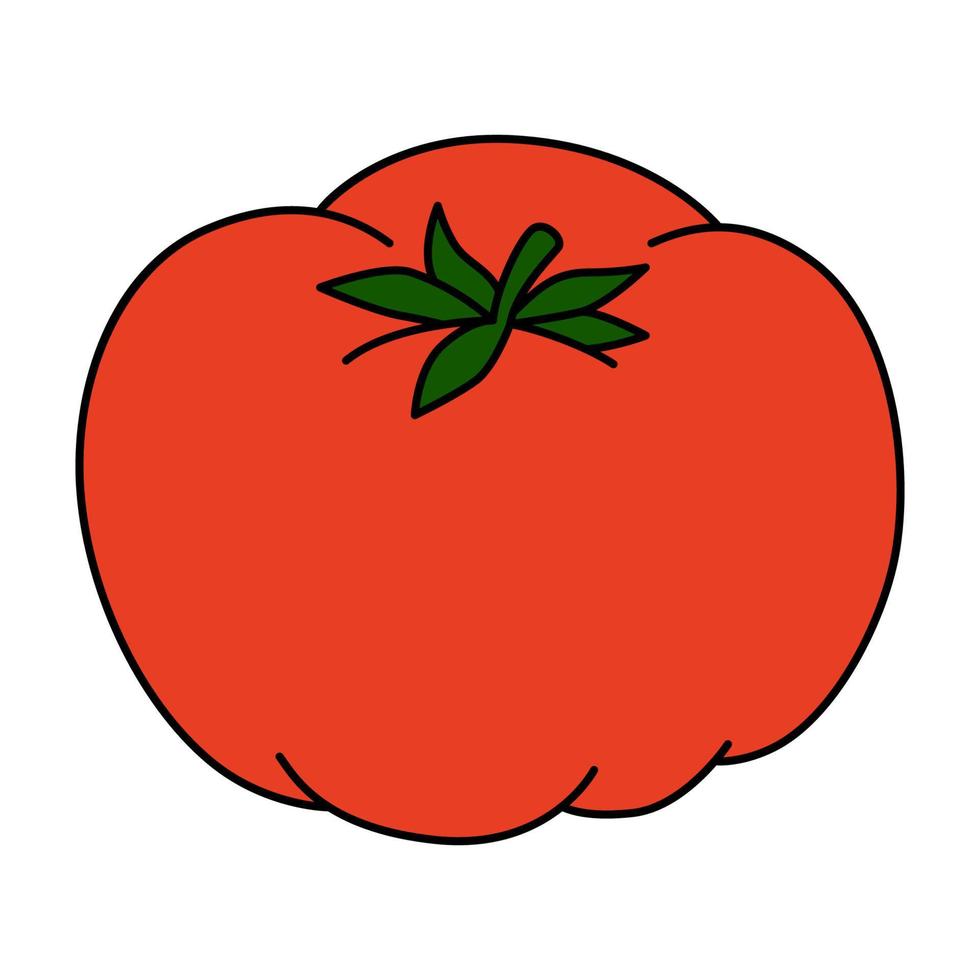 ilustración vectorial de dibujos animados de tomate aislado sobre fondo blanco. verdura fresca madura vector