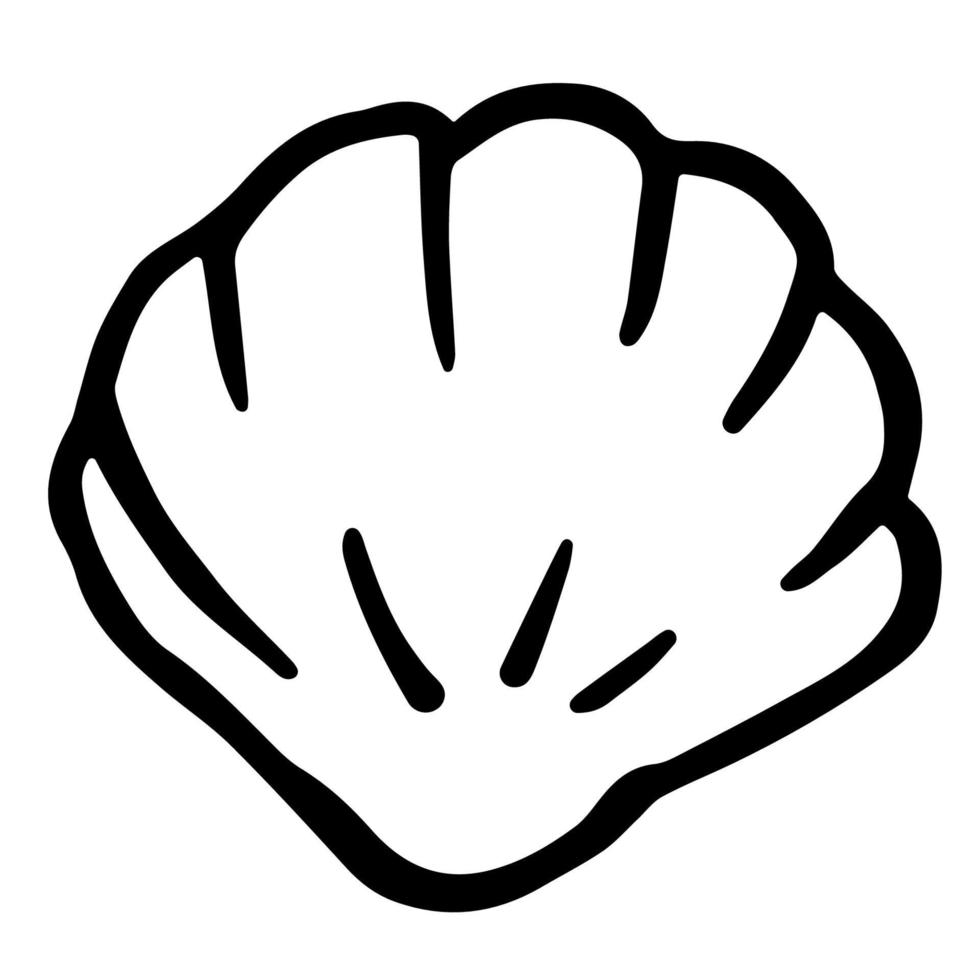 Hand drawn sea scallop in shell. Vector seashell in doodle style isolated on white background. Summer illustration of shellfish for web-design