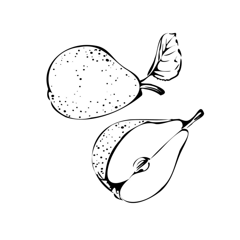 Vector illustration of a pear on a white isolated background. Shop sketch, banner, menu, and logo. Black and white outline.