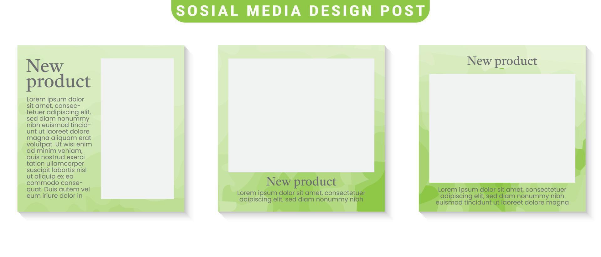 Social media template. Trendy editable social media post template. Mockup isolated. Template design vector