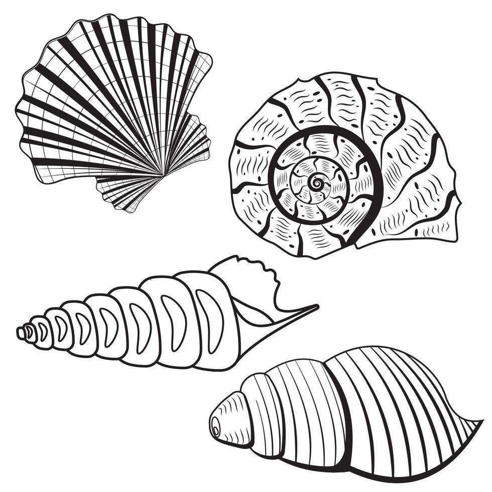 A set of seashells. Black outline line, doodle style vector