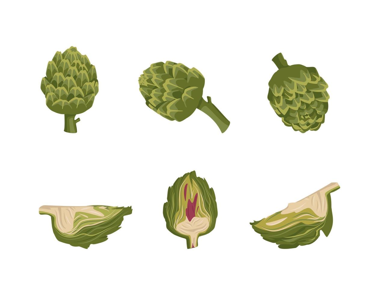 Set of green artichoke icons. Whole and part healthy vegetables and leaves, harvesting. Delicious food for salad and cooking. Vector flat illustration