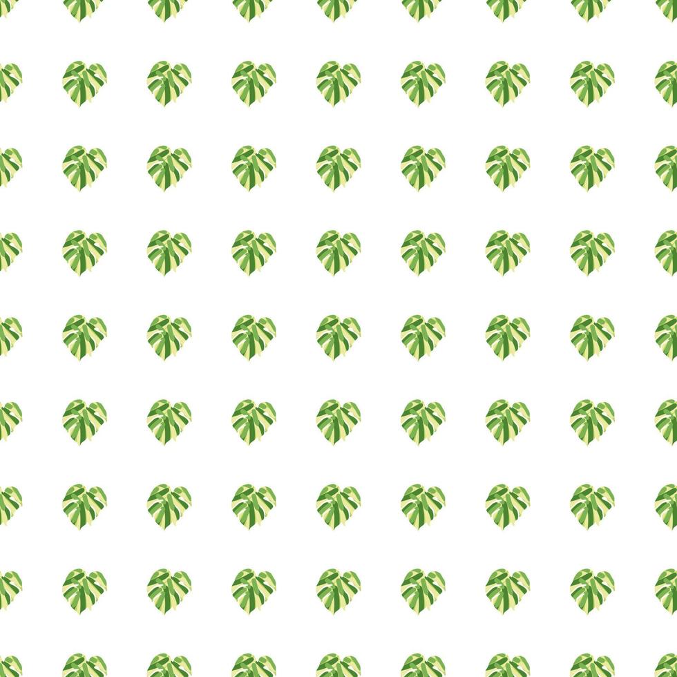 Monstera leaves tropical seamless pattern. Palm leaf endless wallpaper. vector