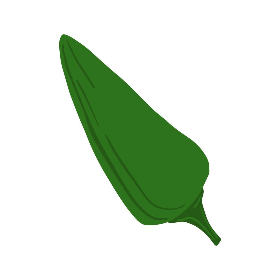 pimiento aislado sobre fondo blanco. verdura de pimentón verde dibujada a mano. vector