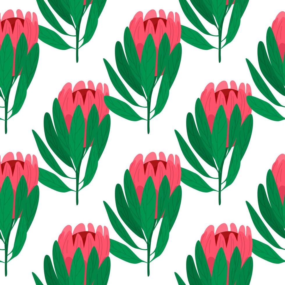 Isolated seamless botanic pattern with doodle pink protea flower and green leaves. White background. vector