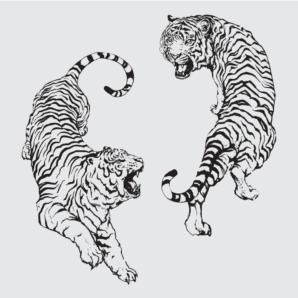 dos tigres vectores
