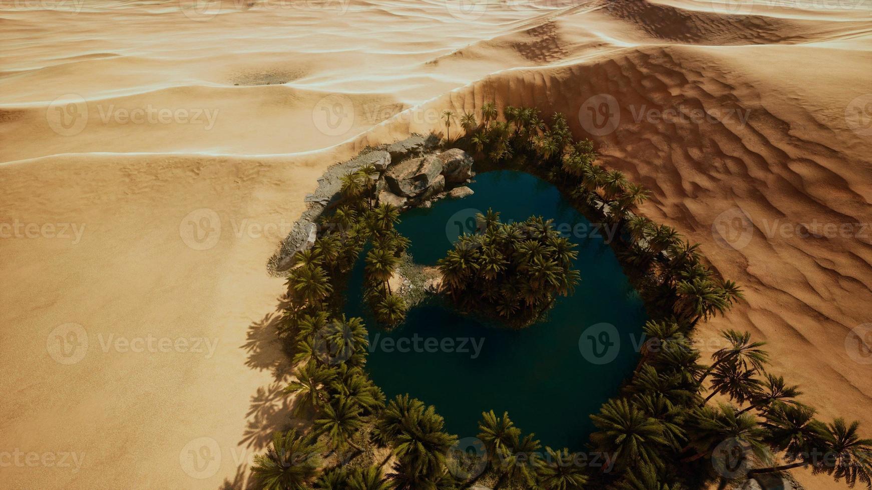 top down aerial view of oasis in desert photo